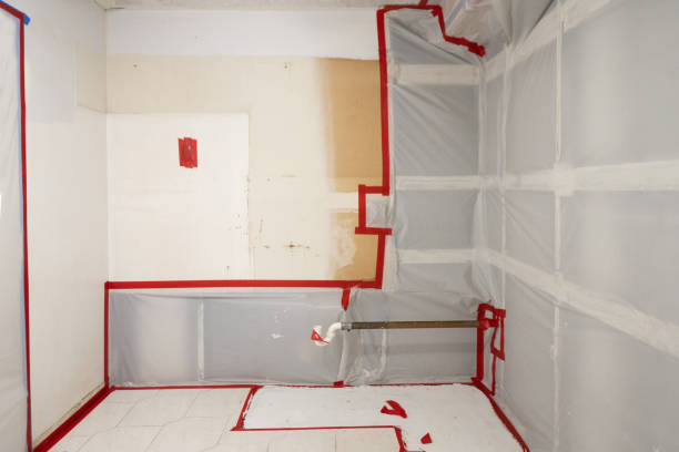 Best Biohazard Mold Removal  in Coal Fork, WV