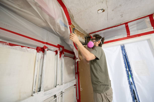 Best Asbestos and Lead Testing During Mold Inspection  in Coal Fork, WV