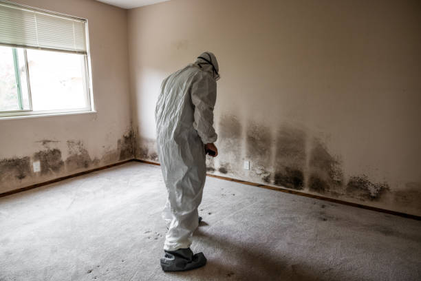 Best Biohazard Mold Removal  in Coal Fork, WV