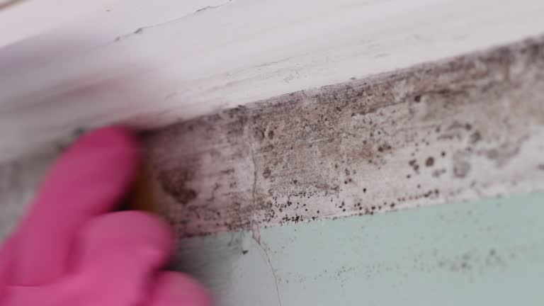 Best Air Quality Testing for Mold Spores  in Coal Fork, WV